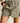 Rhythm Women's Lenni Check Skort — Olive