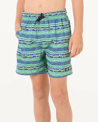 Raw Energy Stripe Volley Boardshorts - Boys (8-16 years)