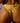 Rusty Women's Miss Dot Brazilian Bikini Bottom - Pale Banana/Java