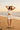 Beach Lifestyle - Afternoon Light